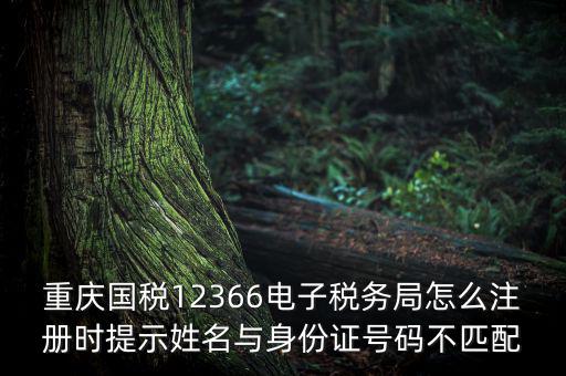 重慶國稅12366電子稅務(wù)局怎么注冊時(shí)提示姓名與身份證號(hào)碼不匹配
