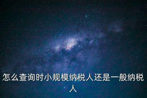 電子稅務(wù)局如何查看正常戶，怎么查詢時(shí)小規(guī)模納稅人還是一般納稅人