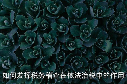 稽查部門如何優(yōu)化稅收營商環(huán)境，如何充分發(fā)揮稽查職能作用更好服務(wù)于全省稅收征管工作發(fā)展大局
