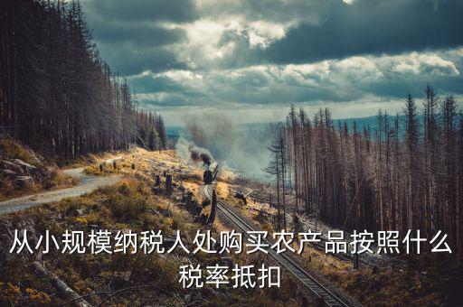 小規(guī)模納稅人 農(nóng)產(chǎn)品如何開票適用稅率，小規(guī)模納稅人銷售農(nóng)產(chǎn)品開什么發(fā)票