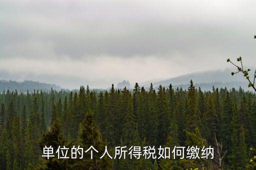 企業(yè)個(gè)人所得稅如何繳納，私營企業(yè)職工個(gè)人所得稅如何繳納