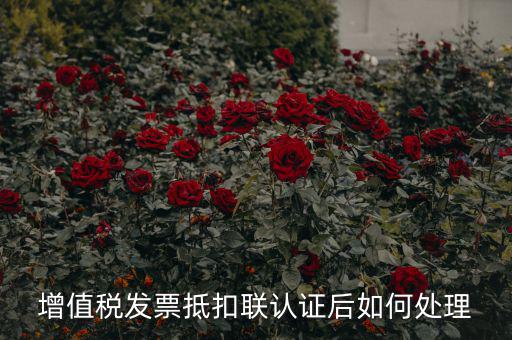 抵扣聯(lián)認(rèn)證如何續(xù)費，我認(rèn)證發(fā)票服務(wù)費要到期了怎么續(xù)費