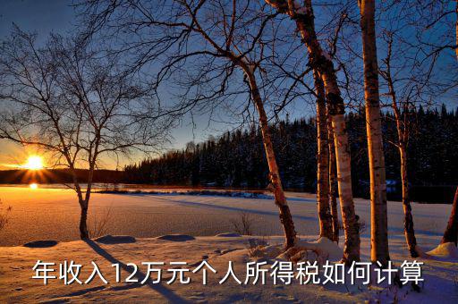 如何計(jì)算12萬(wàn)申報(bào)，年收入12萬(wàn)元個(gè)人所得稅如何計(jì)算