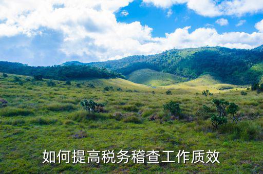 如何提高國稅稽查工作質(zhì)效，如何提高稅務(wù)稽查工作質(zhì)效