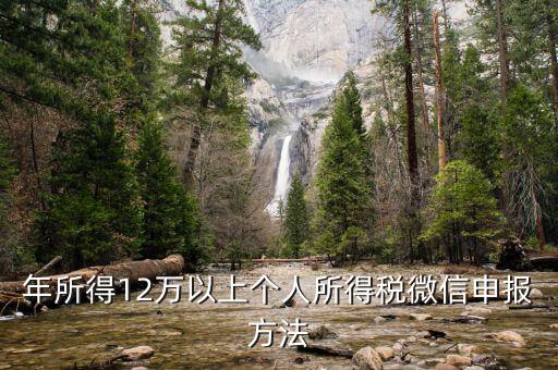 江蘇12萬元申報如何登錄申請，江蘇12萬元個人所得稅怎么申報