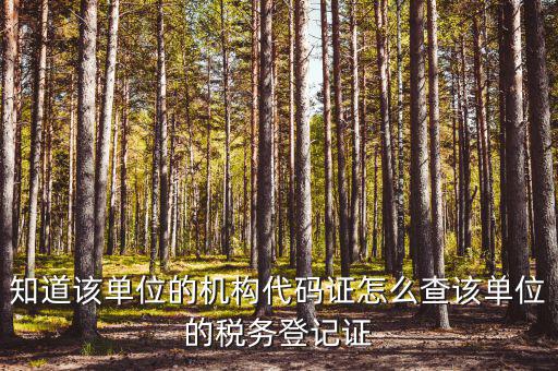 如何查企業(yè)稅務(wù)局登記，公司的稅務(wù)登記證號怎么查詢