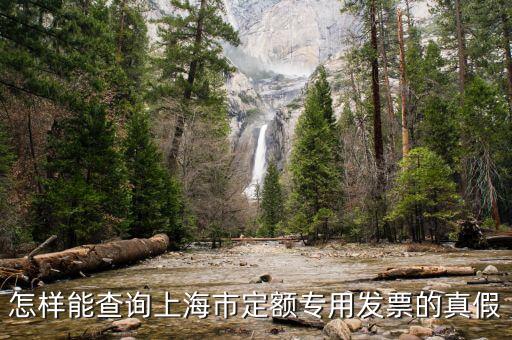如何查詢上海市發(fā)票真?zhèn)尾樵?，上海發(fā)票真?zhèn)尾樵?/></a></span><span id=