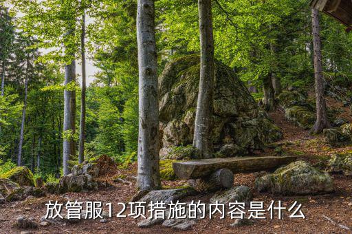 在放管服中如何加強(qiáng)審計(jì)稽察，放管服12項(xiàng)措施的內(nèi)容是什么