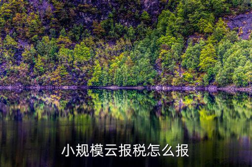 如何在云辦稅廳報(bào)稅，小規(guī)模云報(bào)稅怎么報(bào)