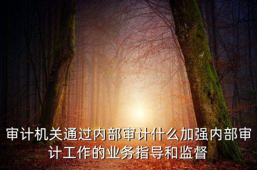 如何進(jìn)一步加強(qiáng)督察內(nèi)審工作，如何加強(qiáng)紀(jì)檢監(jiān)察系統(tǒng)內(nèi)部監(jiān)督管理