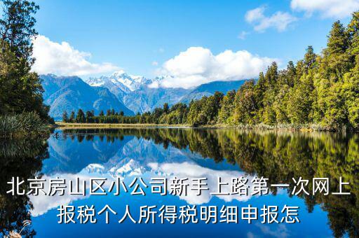 北京網(wǎng)上申報(bào)后如何繳稅，地稅國(guó)稅的網(wǎng)上繳稅怎么繳