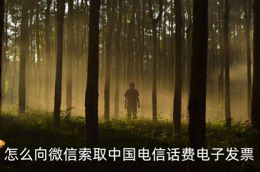 發(fā)票幫公眾號如何使用，9月1號預(yù)付微信公眾號300元9月6號收到發(fā)票要怎么做賬