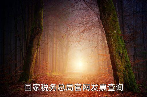 江蘇國(guó)稅如何查詢(xún)發(fā)票，江蘇發(fā)票真?zhèn)尾樵?xún)?nèi)绾尾樵?xún)江蘇發(fā)票真?zhèn)尾樵?xún)?nèi)绾尾樵?xún)最重要的是進(jìn)