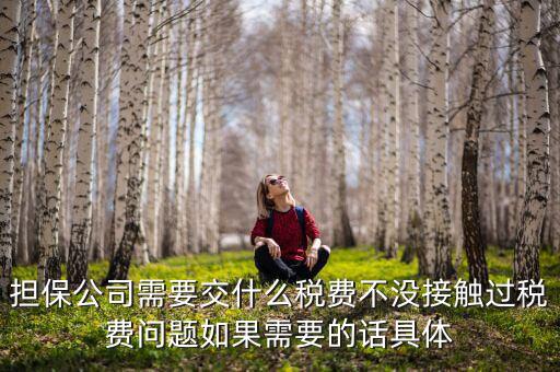 擔(dān)保公司需要交什么稅費(fèi)不沒(méi)接觸過(guò)稅費(fèi)問(wèn)題如果需要的話具體