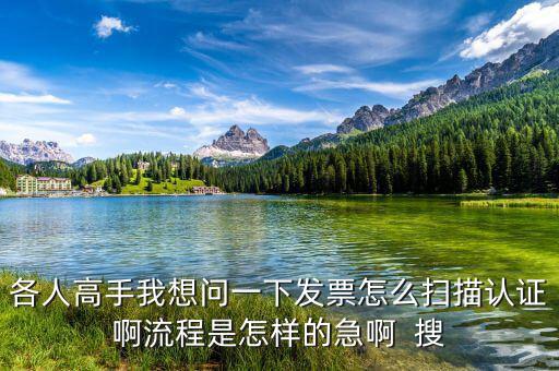 如何掃描認(rèn)證發(fā)票，各人高手我想問(wèn)一下發(fā)票怎么掃描認(rèn)證啊流程是怎樣的急啊  搜