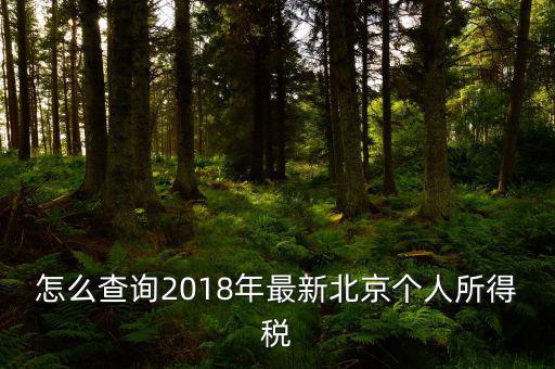 北京如何查詢個(gè)稅完稅證明，怎么查詢2018年最新北京個(gè)人所得稅