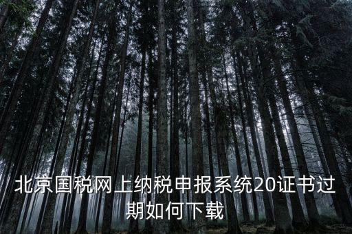 北京國(guó)稅網(wǎng)站如何更新，如何在國(guó)稅網(wǎng)上更新公司的信息