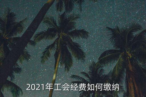如何繳納地稅工會經(jīng)費，工會經(jīng)費怎么繳納在哪里交