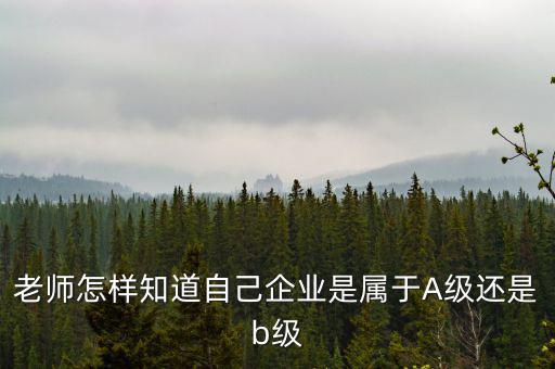 企業(yè)級別如何查，企業(yè)資質(zhì)等級怎樣查