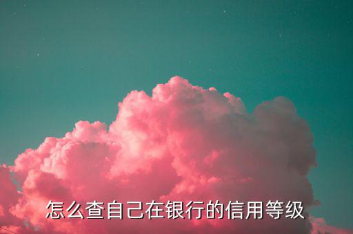如何查納稅人信用等級，如何確認企業(yè)為納稅信用A級增值稅一般納稅人