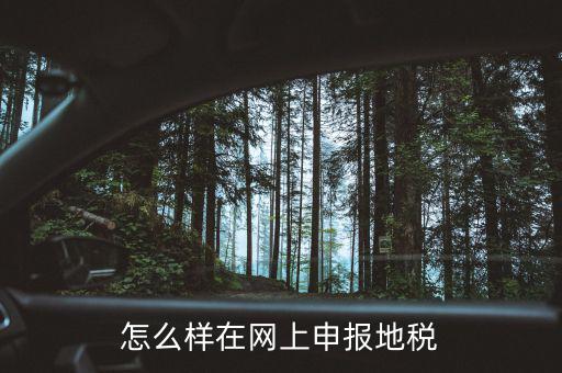 地稅網(wǎng)站如何注冊(cè)，地稅網(wǎng)上申報(bào)注冊(cè)怎么操作