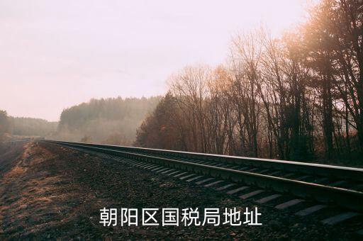 如何查詢所屬朝陽區(qū)哪家稅局，如何查詢自己所屬北京市朝陽區(qū)哪家稅務(wù)所