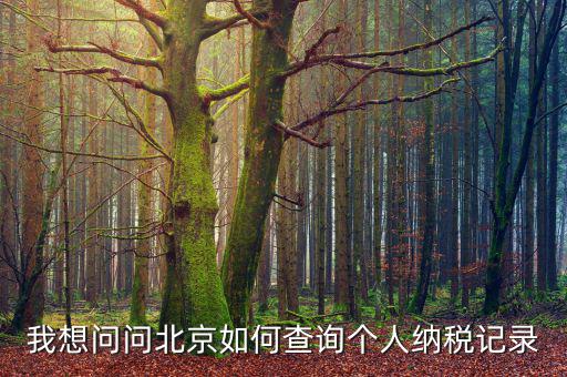 北京如何查稅收，我想問問北京如何查詢個人納稅記錄