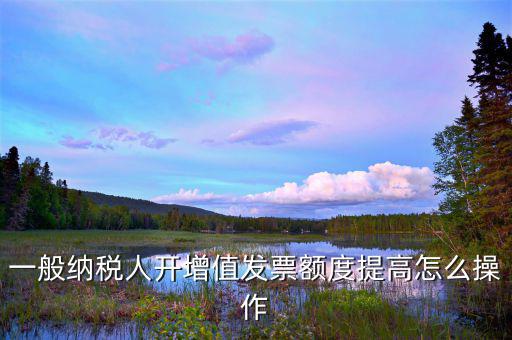 如何提高開票限額申請，一般納稅人開增值發(fā)票額度提高怎么操作