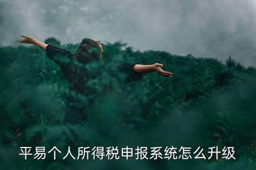 個稅如何在線升級，個稅系統(tǒng)的版本號V12146如何升級V12159