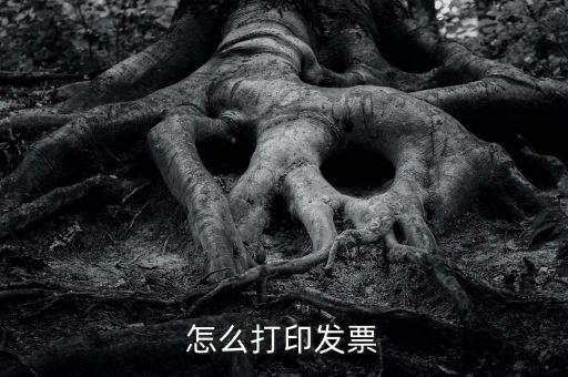 億企贏攜稅寶發(fā)票如何打印，這樣怎么打印電子發(fā)票