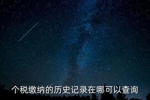 如何查詢個(gè)人所得稅的繳費(fèi)記錄，個(gè)稅繳納的歷史記錄在哪可以查詢