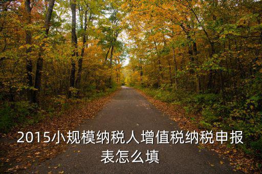 小規(guī)模納稅人國稅申報(bào)表如何填，小規(guī)模納稅人的報(bào)表怎么填