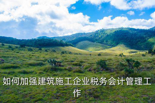 如何樹立大國稅務(wù)理念，稅務(wù) 如何 準確把握 六個體系