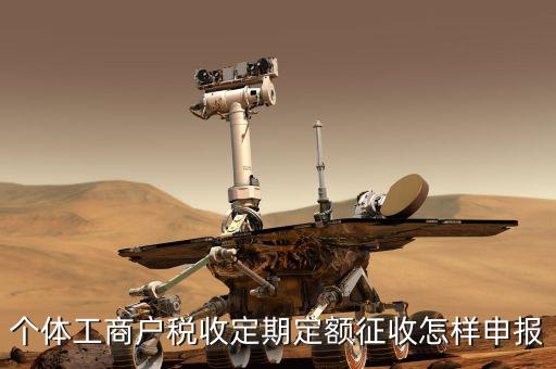 個體工商戶稅收定期定額征收怎樣申報(bào)