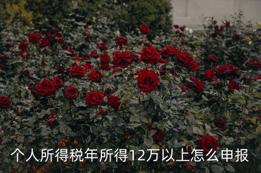 陜西地稅 12萬以上如何申報(bào)，個(gè)人所得稅年所得12萬以上怎么申報(bào)