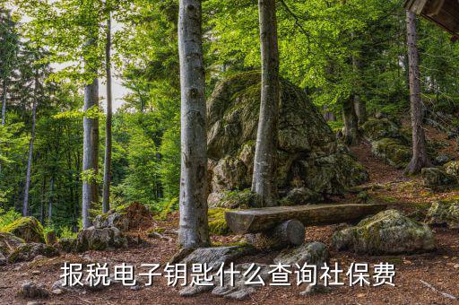 電子稅務(wù)局如何查社保，稅控盤上交五險(xiǎn)了怎么打印出來