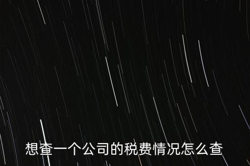如何查詢公司納稅記錄查詢，想查一個公司的稅費(fèi)情況怎么查