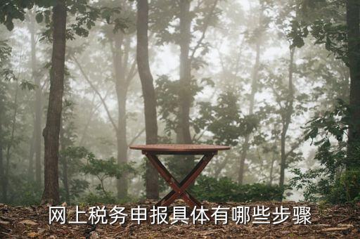 電子稅務(wù)局如何申報(bào)12，網(wǎng)上稅務(wù)申報(bào)具體有哪些步驟