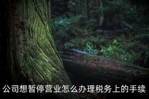 北京市如何辦理單位稅務(wù)暫停，企業(yè)暫停營業(yè)怎么辦理