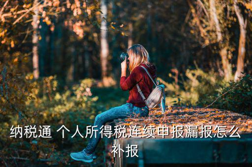 源泉扣繳如何補申報，個人所得稅代扣代繳系統(tǒng) 補申報怎樣操作
