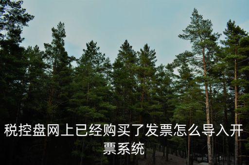 如何網(wǎng)上開(kāi)票系統(tǒng)，稅控盤網(wǎng)上已經(jīng)購(gòu)買了發(fā)票怎么導(dǎo)入開(kāi)票系統(tǒng)
