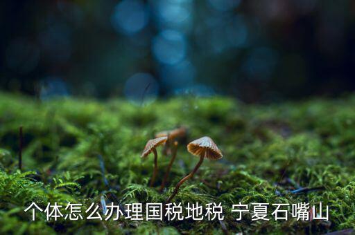 如何進(jìn)行網(wǎng)上稅務(wù)申報(bào)寧夏，寧夏中稅電子申報(bào)系統(tǒng)的報(bào)表時(shí)間如何修改 是CTRL神馬來(lái)的