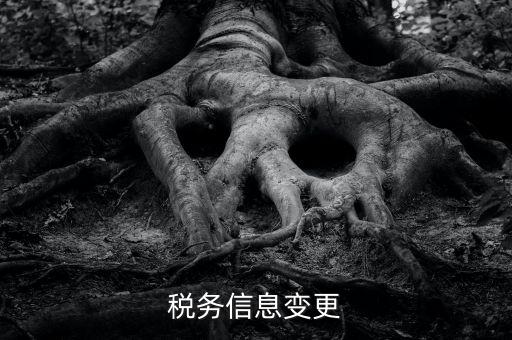 地稅如何變更人員信息查詢，浙江地稅開票軟件開票人怎么更改
