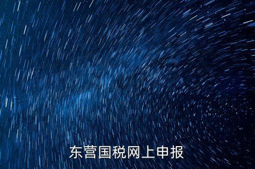 東營國稅如何網上申報，東營國稅網上申報