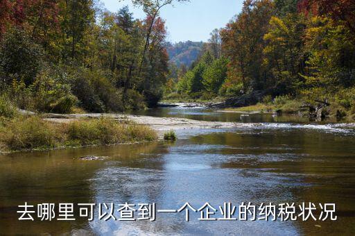 如何查詢企業(yè)納稅，去哪里可以查到一個企業(yè)的納稅狀況