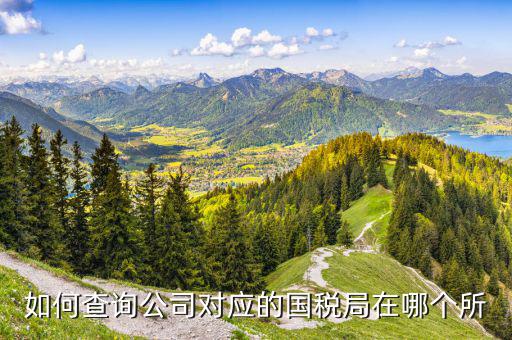 如何查詢公司對應的國稅局在哪個所
