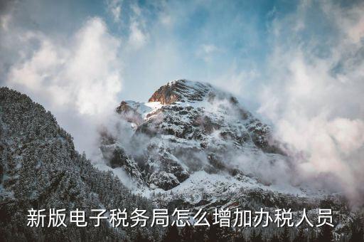 深圳稅局如何增加辦稅員，電子稅務(wù)局如何添加辦稅人員