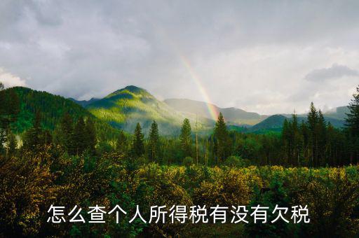 個人企業(yè)如何查欠稅啊，個體工商戶怎么查詢是否欠稅