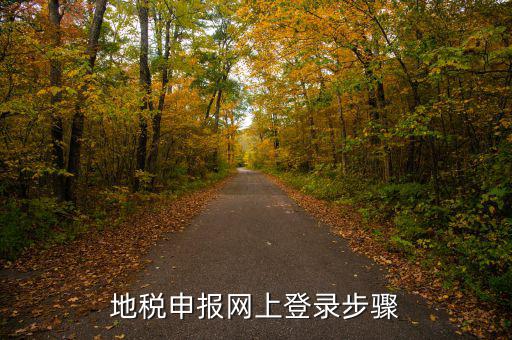 廣西國(guó)稅地稅如何網(wǎng)上申報(bào)，稅務(wù)申報(bào)如何網(wǎng)上申報(bào)