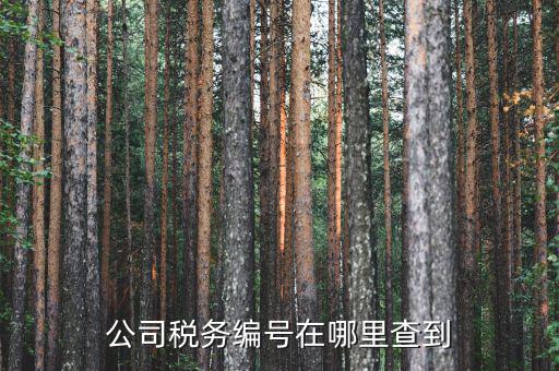 如何查遼寧省國稅局納稅識別號，跪求 在哪點能查詢到納稅人識別號